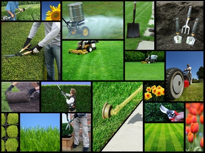 Lawn Maintenance Collage